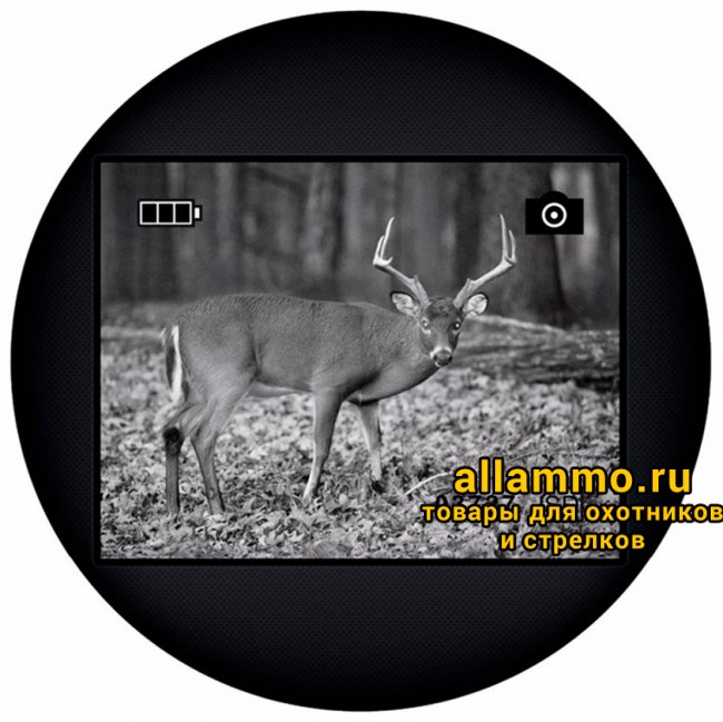 81699_levenhuk-atom-digital-dnm100-dnv_11 Монокуляр ночного видения Levenhuk Atom Digital DNM100