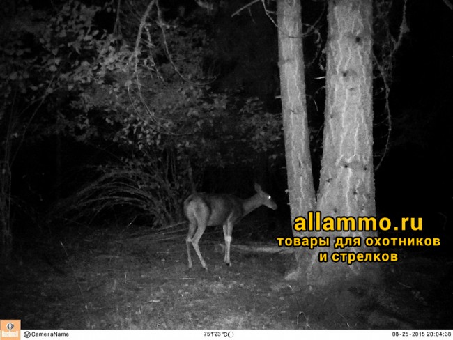 (119837) Фотоловушка (лесная камера) Bushnell Trophy Cam HD Essential E3 