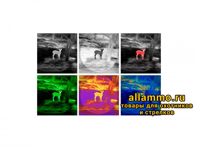 Тепловизионный монокуляр Guide TK421 (400х300px, ø25мм)