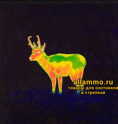 Тепловизор Seek Thermal Reveal