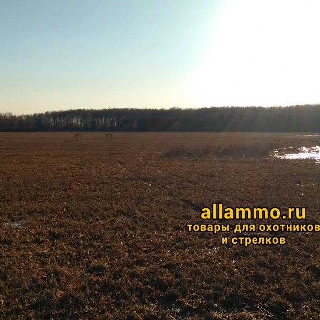 3.jpg Зеркальная засидка Phantom Гусь