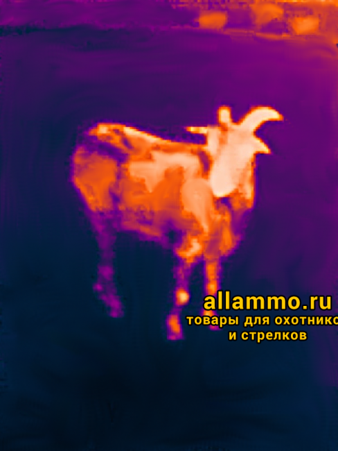 Тепловизор для смартфона Seek Thermal Compact XR