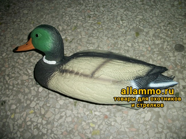 Чучело Кряквы BIRDLAND (пена внутри) селезень (78207)