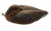 Чучело Кряквы BIRDLAND (не складной пластик) утка спящая (7321)