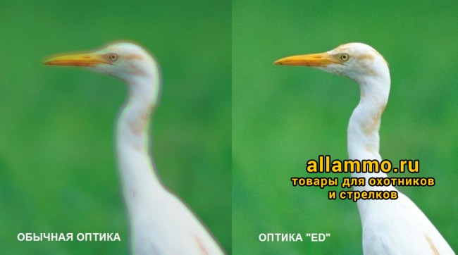 Бинокль KENKO AVANTAR 10х32 ED DH