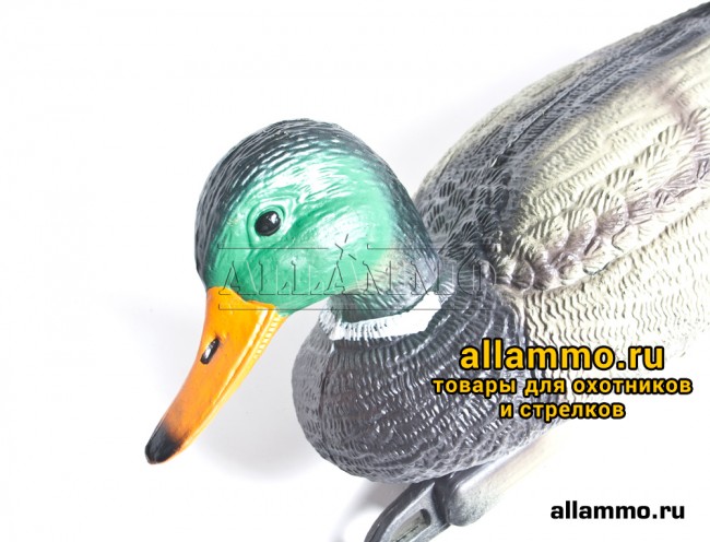 Чучело Кряквы BIRDLAND (не складной пластик) селезень (7416)