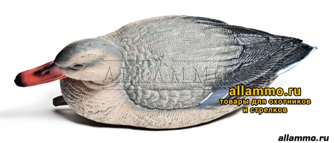 Чучело Кряквы BIRDLAND (не складной пластик) утка (7415)