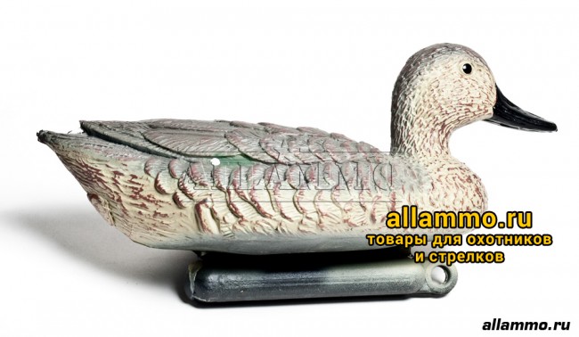 IMG_2925.jpg Чучело Чирка BIRDLAND (не складной пластик) утка (7355)