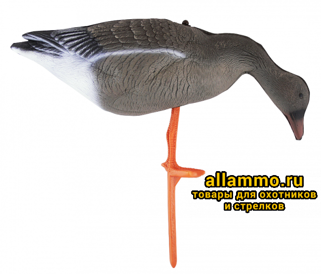 79100bbc68e3d2377d1ba8a3c417b41e.png Чучело гуся гуменника складное на опоре (BR-042S/R/F)