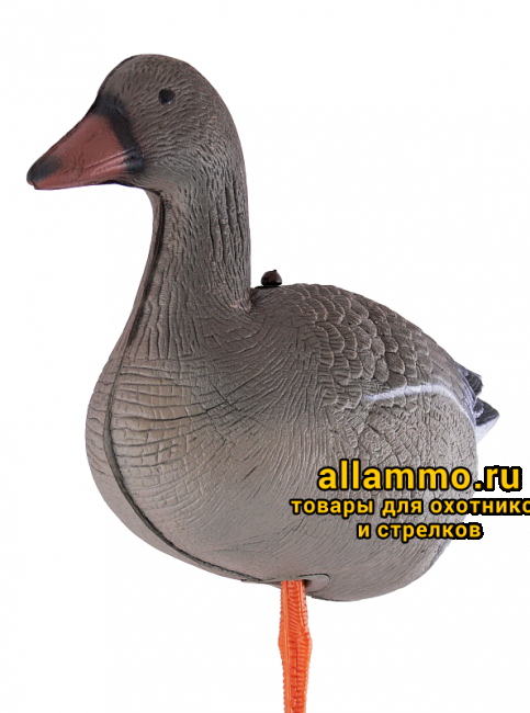 803099b73de6d2ff03cdddb0c9ec7b94.png Чучело гуся гуменника складное на опоре (BR-042S/R/F)