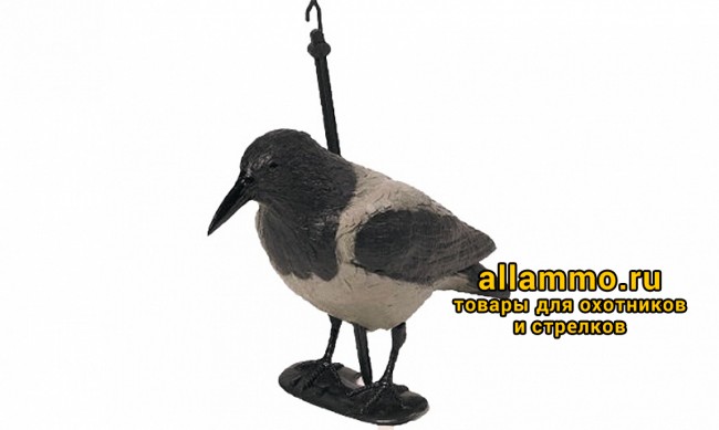 Чучело ворона серая с лапами, на опоре