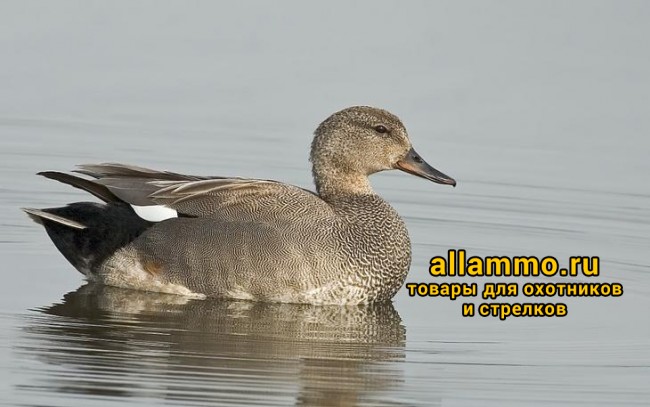 Комплект чучел Серая утка CHEROKEE SPORT Fusion Series (надувные с пласт.головой) 4 селезня и 2 утки (MF966/965)