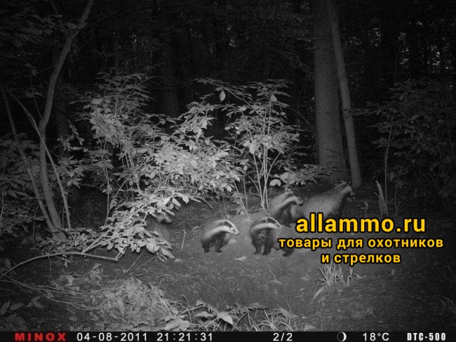 Фотоловушка (лесная камера) MINOX DTC 500