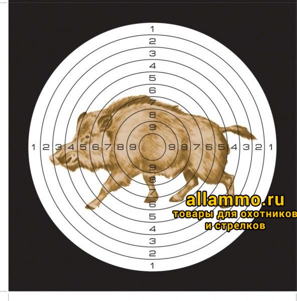 Мишень для пневматики 25 м цветная, рисунок "КАБАН" (140х140)